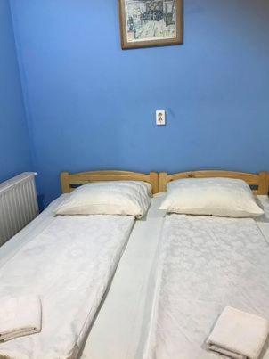 Engi Panzio Bed & Breakfast Ocna de Sus Dış mekan fotoğraf