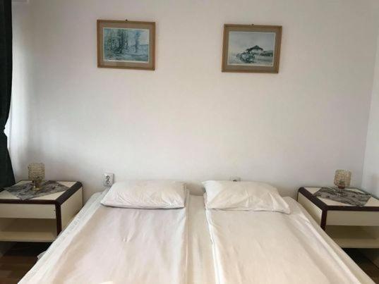 Engi Panzio Bed & Breakfast Ocna de Sus Dış mekan fotoğraf