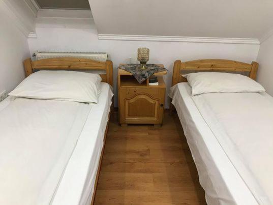 Engi Panzio Bed & Breakfast Ocna de Sus Dış mekan fotoğraf