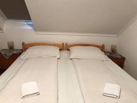 Engi Panzio Bed & Breakfast Ocna de Sus Dış mekan fotoğraf