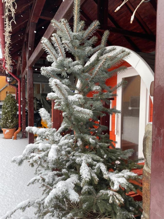 Engi Panzio Bed & Breakfast Ocna de Sus Dış mekan fotoğraf